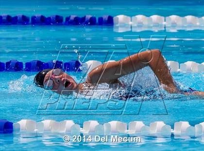 Thumbnail 1 in Hillsborough Western Conference Meet photogallery.