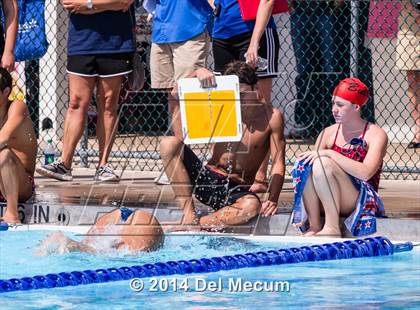 Thumbnail 1 in Hillsborough Western Conference Meet photogallery.
