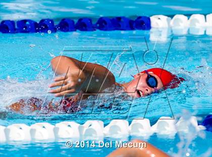 Thumbnail 1 in Hillsborough Western Conference Meet photogallery.