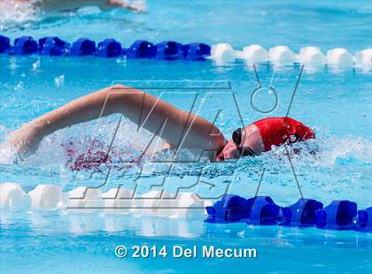 Thumbnail 2 in Hillsborough Western Conference Meet photogallery.