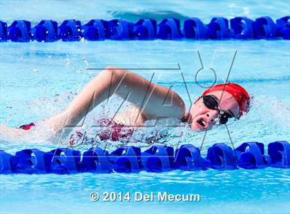 Thumbnail 3 in Hillsborough Western Conference Meet photogallery.