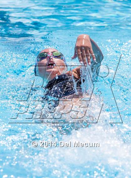 Thumbnail 2 in Hillsborough Western Conference Meet photogallery.