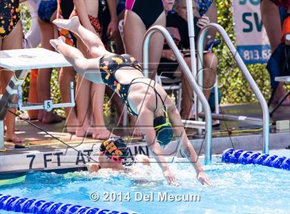 Thumbnail 3 in Hillsborough Western Conference Meet photogallery.