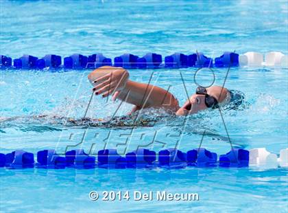 Thumbnail 3 in Hillsborough Western Conference Meet photogallery.