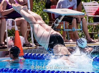 Thumbnail 2 in Hillsborough Western Conference Meet photogallery.