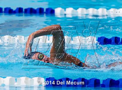 Thumbnail 3 in Hillsborough Western Conference Meet photogallery.