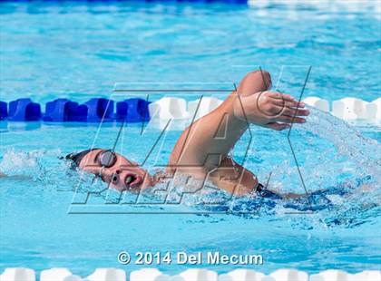 Thumbnail 1 in Hillsborough Western Conference Meet photogallery.