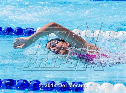 Thumbnail 1 in Hillsborough Western Conference Meet photogallery.