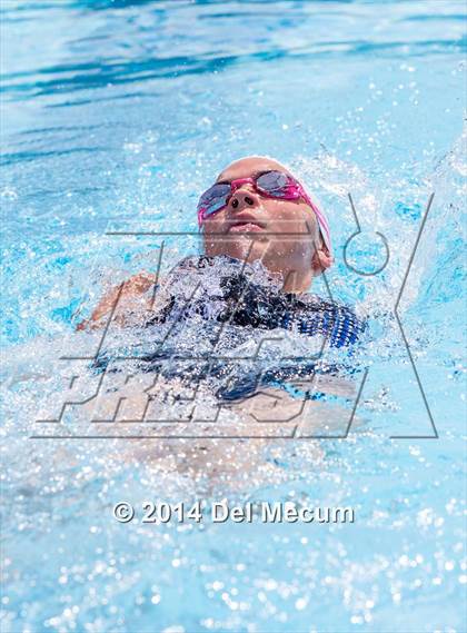 Thumbnail 1 in Hillsborough Western Conference Meet photogallery.
