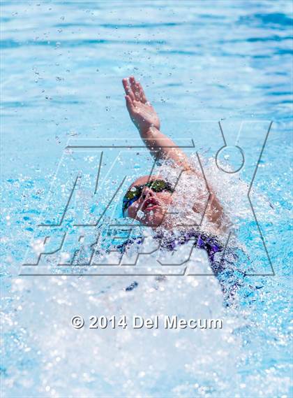 Thumbnail 2 in Hillsborough Western Conference Meet photogallery.