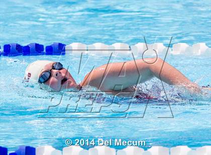 Thumbnail 2 in Hillsborough Western Conference Meet photogallery.