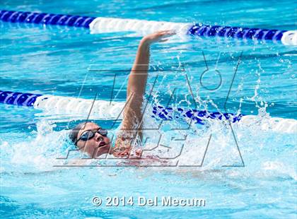 Thumbnail 2 in Hillsborough Western Conference Meet photogallery.
