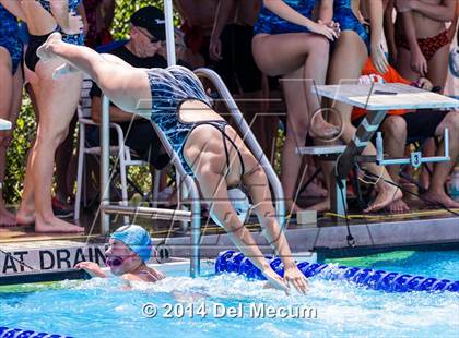 Thumbnail 1 in Hillsborough Western Conference Meet photogallery.