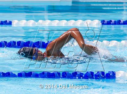 Thumbnail 1 in Hillsborough Western Conference Meet photogallery.