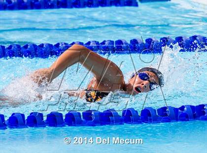 Thumbnail 2 in Hillsborough Western Conference Meet photogallery.