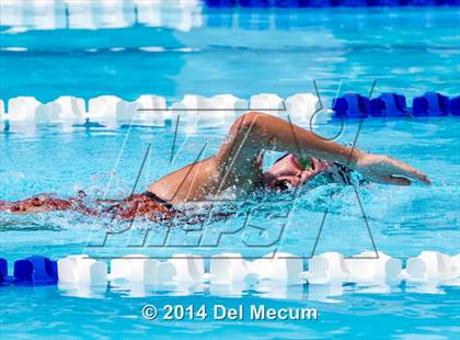 Thumbnail 3 in Hillsborough Western Conference Meet photogallery.