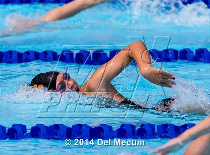Thumbnail 2 in Hillsborough Western Conference Meet photogallery.