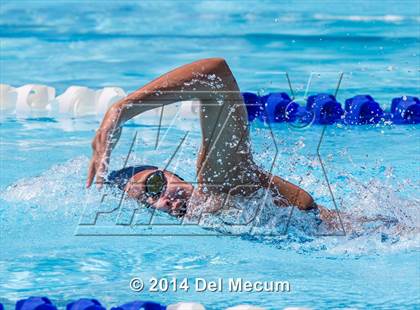 Thumbnail 2 in Hillsborough Western Conference Meet photogallery.