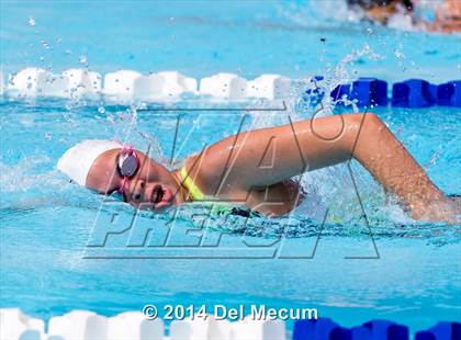Thumbnail 3 in Hillsborough Western Conference Meet photogallery.