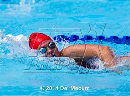 Thumbnail 1 in Hillsborough Western Conference Meet photogallery.