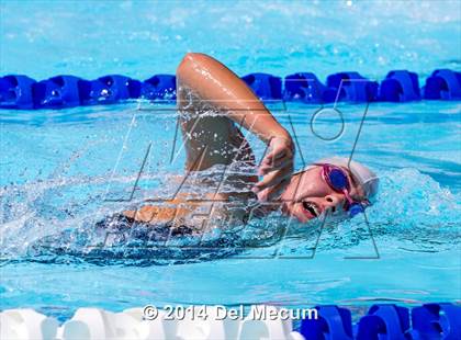 Thumbnail 3 in Hillsborough Western Conference Meet photogallery.