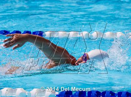 Thumbnail 3 in Hillsborough Western Conference Meet photogallery.