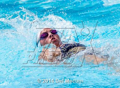 Thumbnail 1 in Hillsborough Western Conference Meet photogallery.