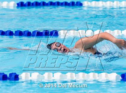 Thumbnail 3 in Hillsborough Western Conference Meet photogallery.