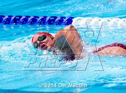 Thumbnail 1 in Hillsborough Western Conference Meet photogallery.