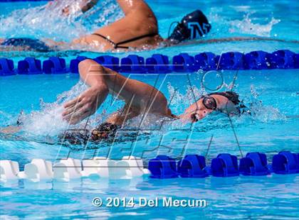 Thumbnail 1 in Hillsborough Western Conference Meet photogallery.