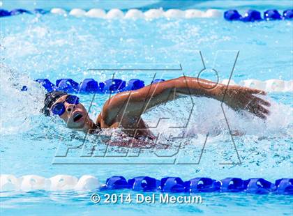 Thumbnail 3 in Hillsborough Western Conference Meet photogallery.
