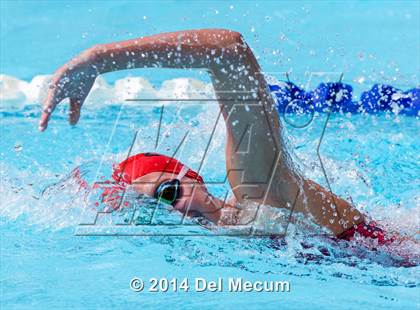 Thumbnail 3 in Hillsborough Western Conference Meet photogallery.