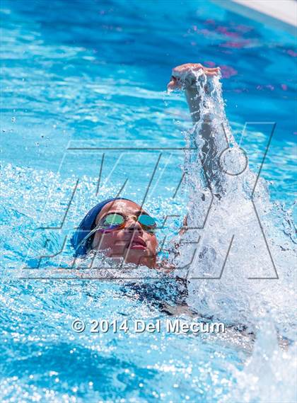 Thumbnail 3 in Hillsborough Western Conference Meet photogallery.