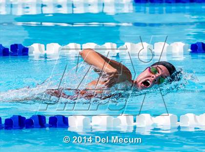 Thumbnail 2 in Hillsborough Western Conference Meet photogallery.