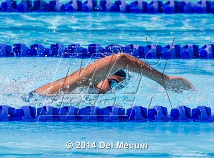 Thumbnail 1 in Hillsborough Western Conference Meet photogallery.