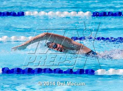 Thumbnail 3 in Hillsborough Western Conference Meet photogallery.