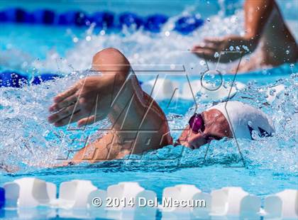 Thumbnail 2 in Hillsborough Western Conference Meet photogallery.