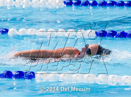 Thumbnail 1 in Hillsborough Western Conference Meet photogallery.