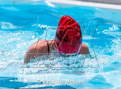 Thumbnail 1 in Hillsborough Western Conference Meet photogallery.