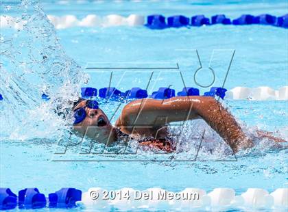 Thumbnail 1 in Hillsborough Western Conference Meet photogallery.
