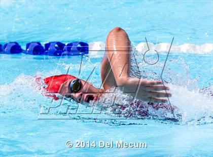Thumbnail 3 in Hillsborough Western Conference Meet photogallery.