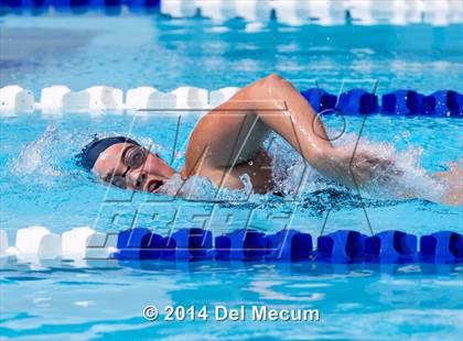 Thumbnail 1 in Hillsborough Western Conference Meet photogallery.