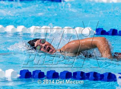 Thumbnail 3 in Hillsborough Western Conference Meet photogallery.