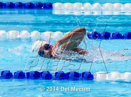 Thumbnail 2 in Hillsborough Western Conference Meet photogallery.