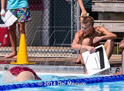 Thumbnail 1 in Hillsborough Western Conference Meet photogallery.