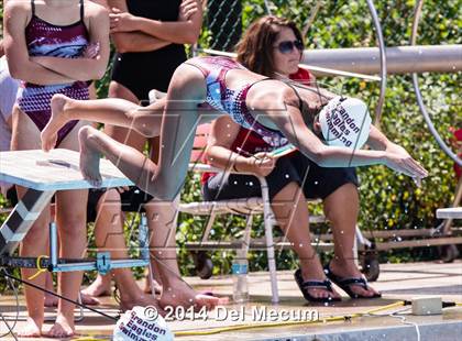 Thumbnail 1 in Hillsborough Western Conference Meet photogallery.