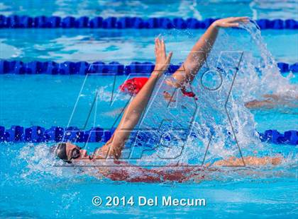Thumbnail 1 in Hillsborough Western Conference Meet photogallery.