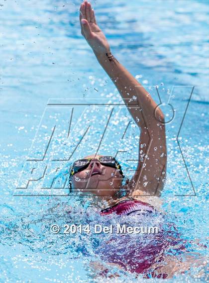 Thumbnail 1 in Hillsborough Western Conference Meet photogallery.