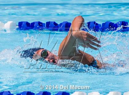 Thumbnail 2 in Hillsborough Western Conference Meet photogallery.