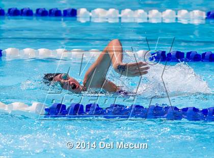 Thumbnail 3 in Hillsborough Western Conference Meet photogallery.